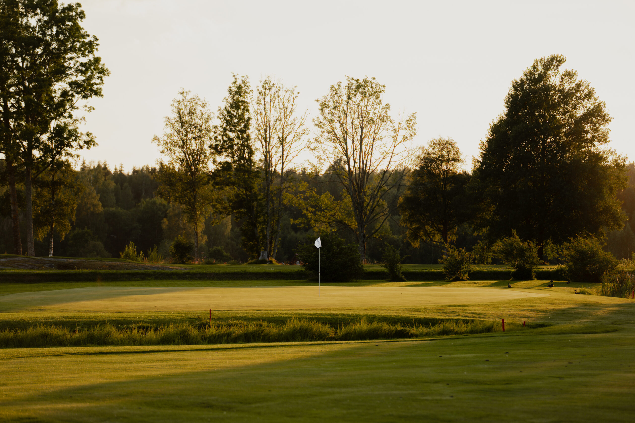 Foshaga golfklubb, golfbana