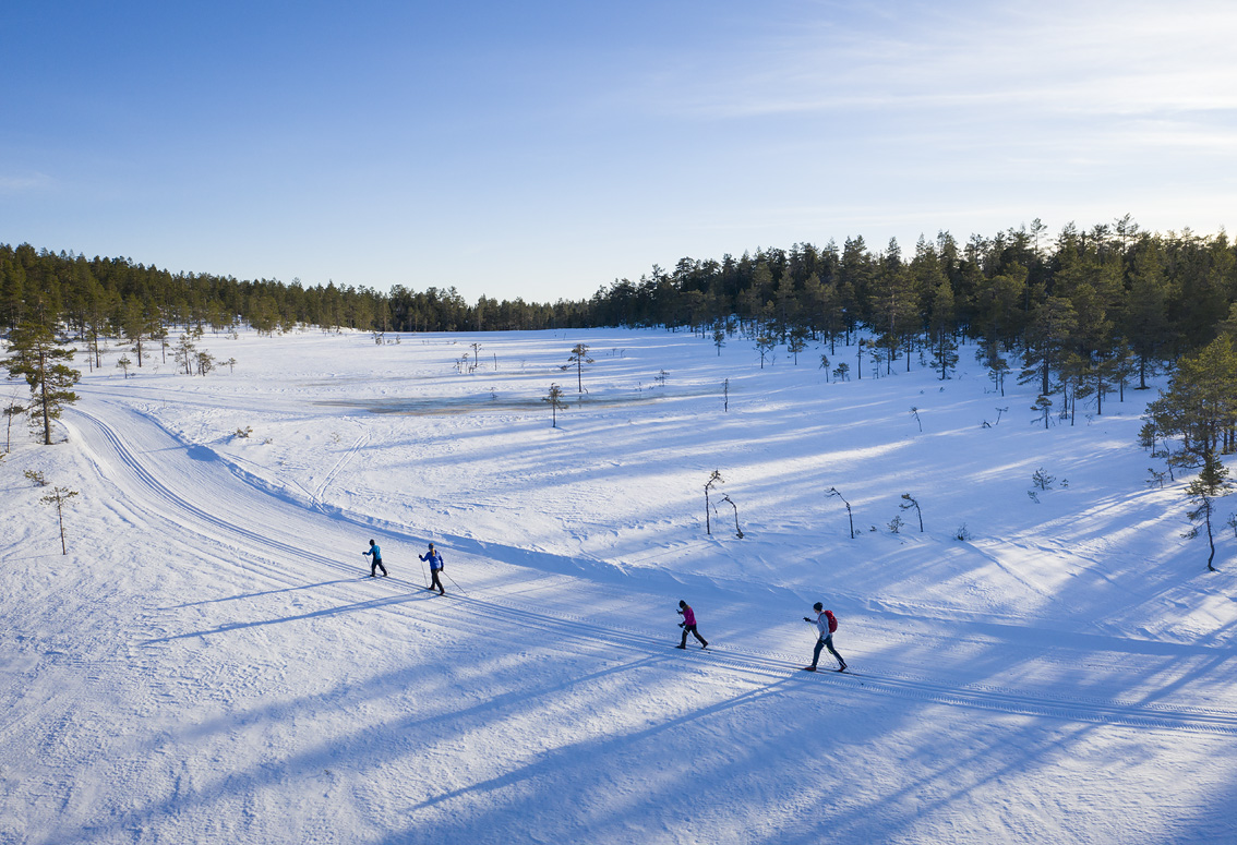Skidåkare i vinterlandskap