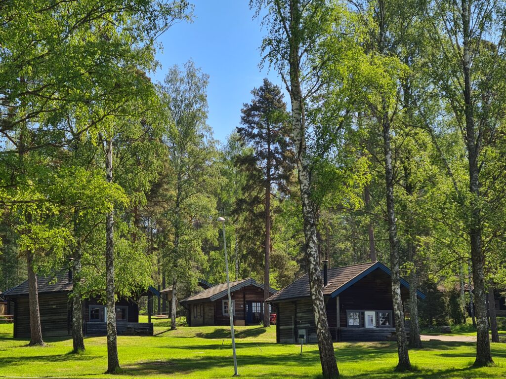 Campingstugor vid björkar