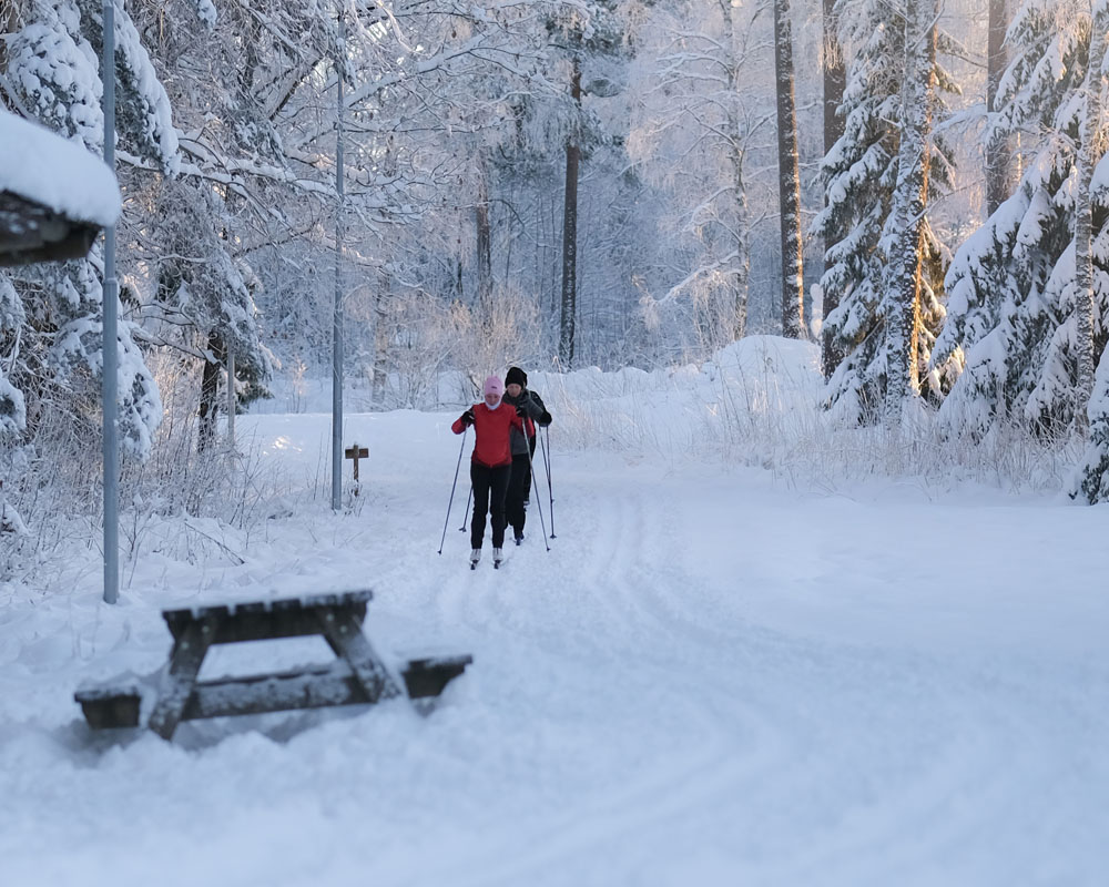 Skidåkning i Nobelspåret