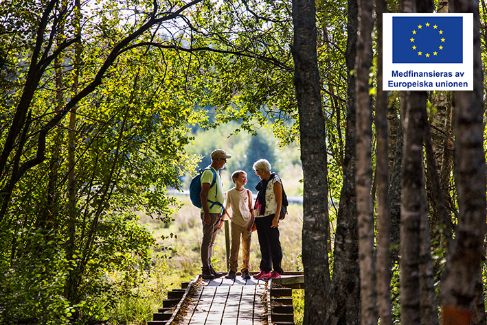 Tre personer på en vadringsled