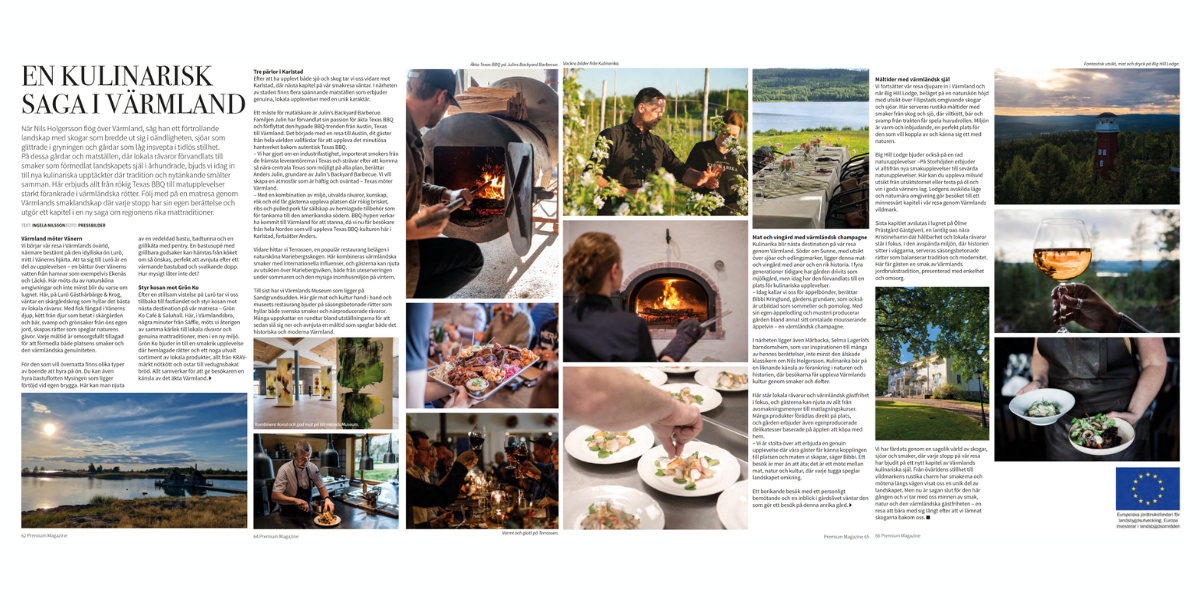 artikel premium magazine