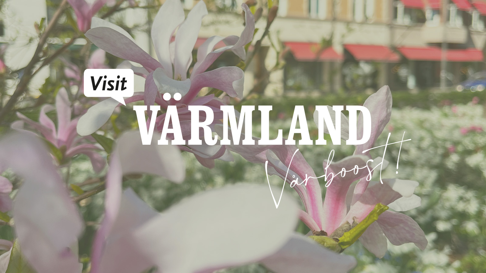 Bild med blommor och Logga