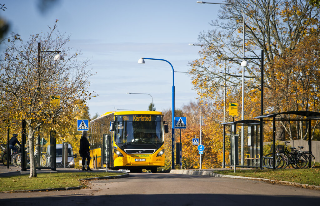 Buss