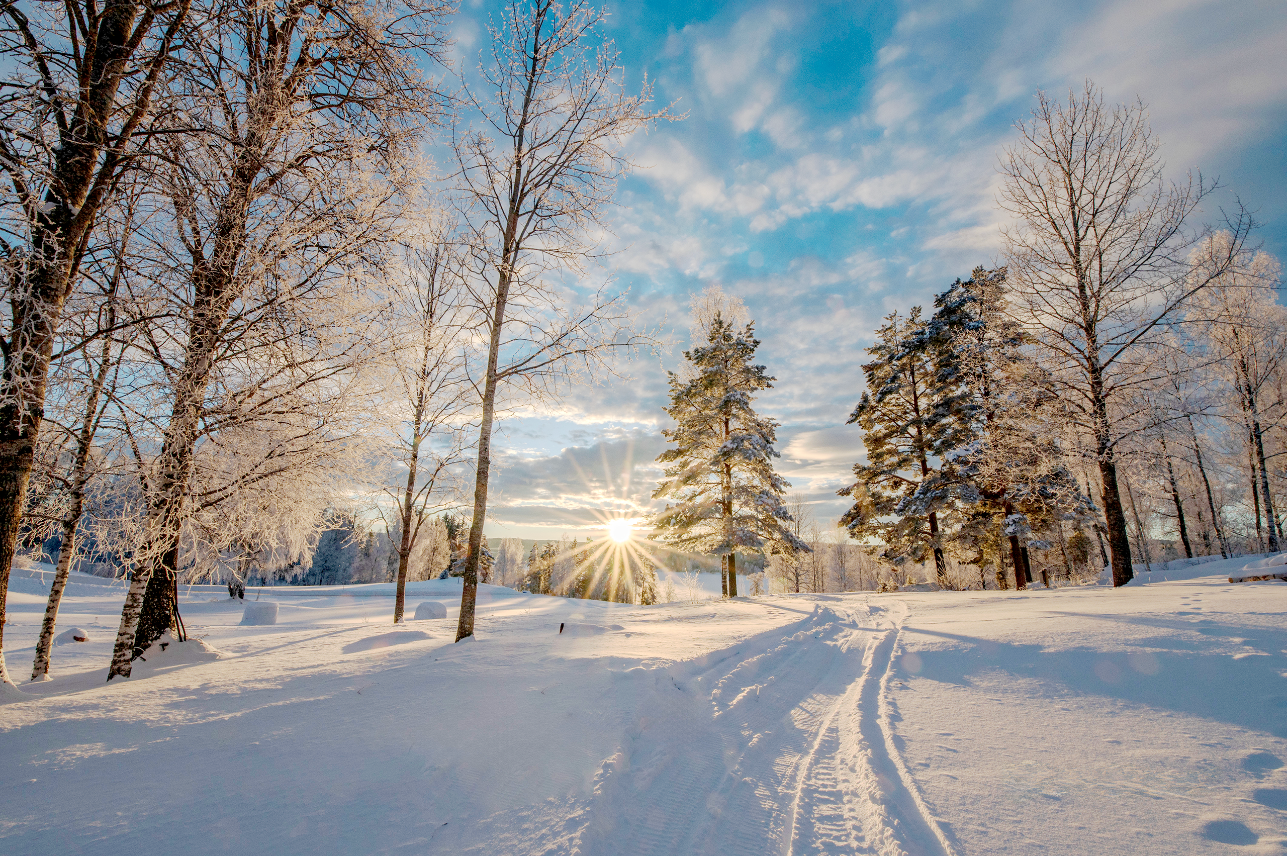 Snowy landscape with snowmobile tracks towards the sun, blue sky with light clouds