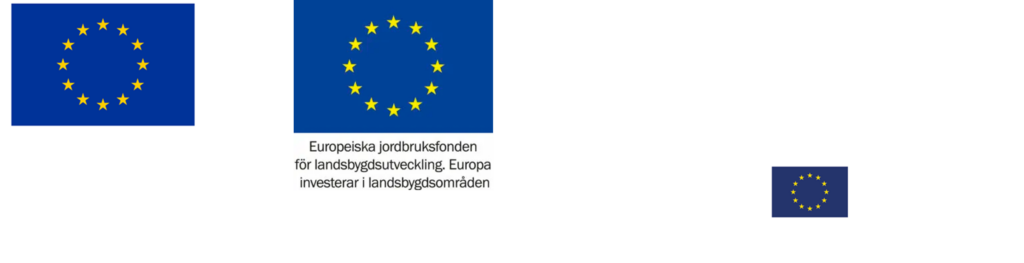 Logos of the EU and Region Värmland