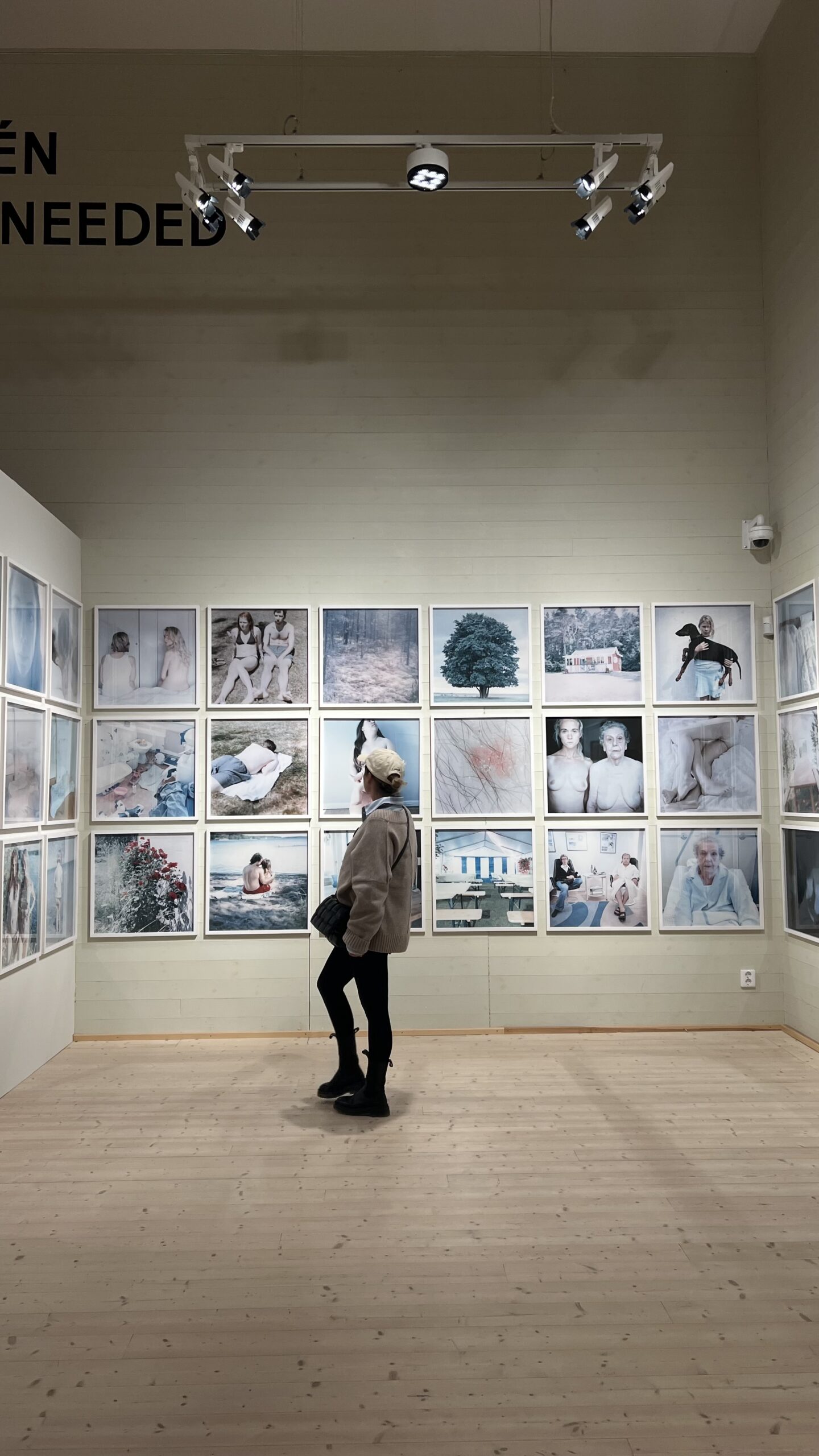 Woman viewing an exhibition